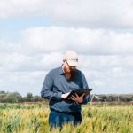 GRDC Invests $8m to Reduce Impact of Wheat Disease STB | Farm Weekly