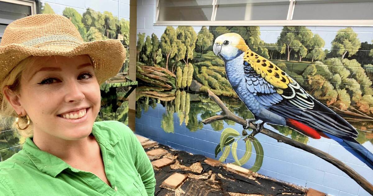 Lavinia Letheby: Transforming small towns with striking murals | North Queensland Register