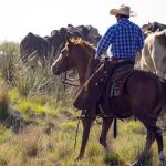 Climate change impact on Australian weather highlights difficulty in seasonal forecasting | The Land