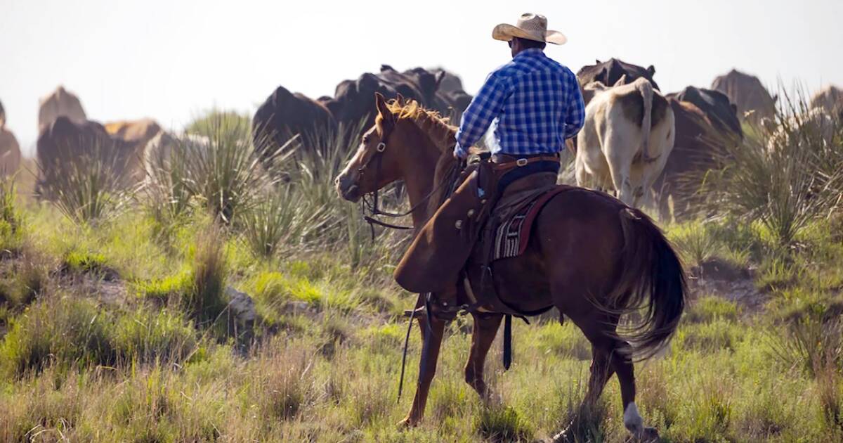 Aussie takes the reins of big US ranch sales