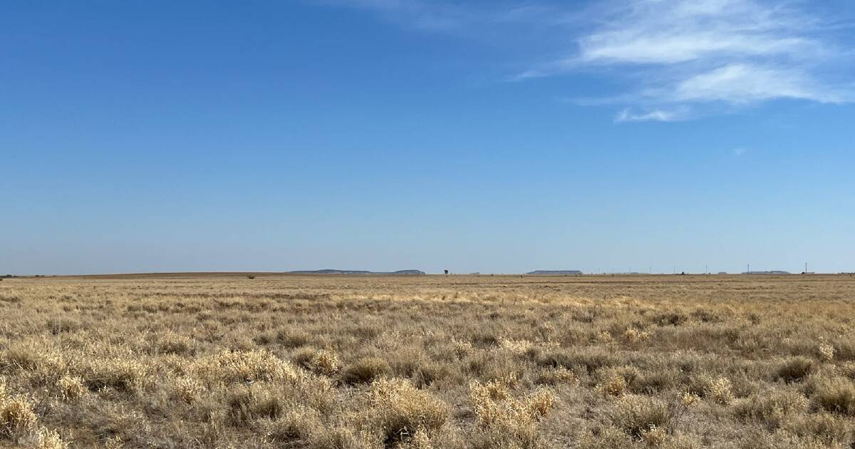 Record heatwave out west, BOM warns intense rain, flash flooding in south