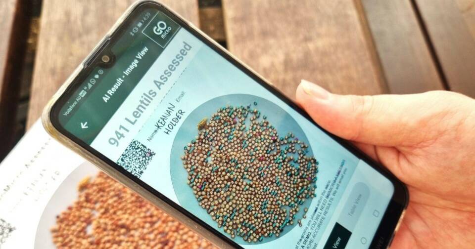 New grain assessment app could revolutionise grain quality assessment | The Land