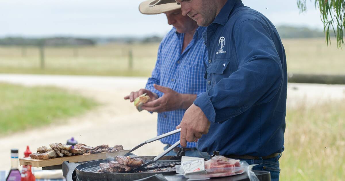 Beef, lamb prices slashed again as food inflation moderates | The Land