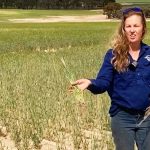 Wanted: Host Families for Wheatbelt Medical Students | Farm Weekly