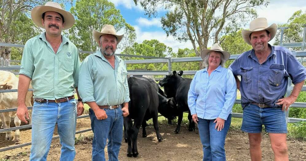 Positive start to 2024 cattle market in Queensland. | Queensland Country Life