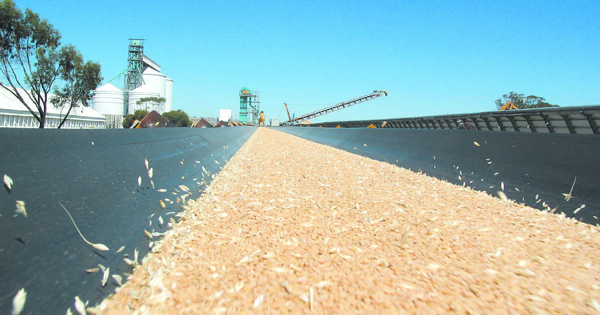 WA's record crops are going to get bigger