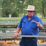 Quality Allingham cattle country on the market after 150 years