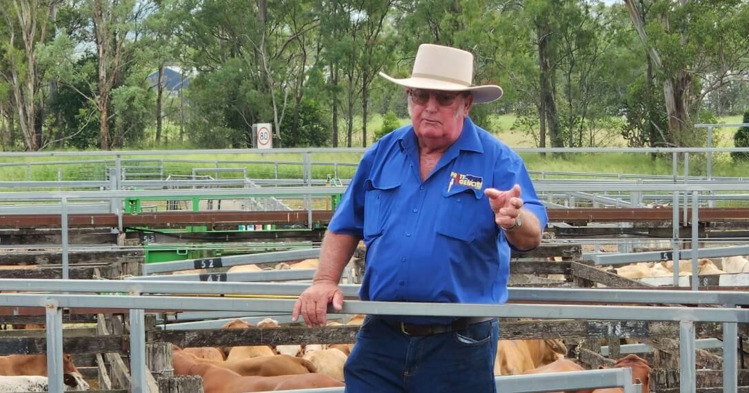 Murgon livestock agent Col Ramke celebrates 50 years in the industry