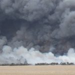 Widespread rain takes pressure off some key feedlot ration commodities