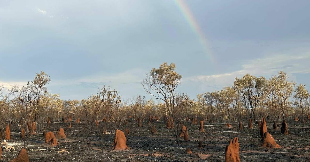 Wild storm hits Cloncurry, no reprieve for fire fighting graziers