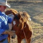 Why Alexander ‘Zanda’ Stephens loves cotton farming | Queensland Country Life