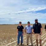 Storm takes out Bruce Rock shearing shed