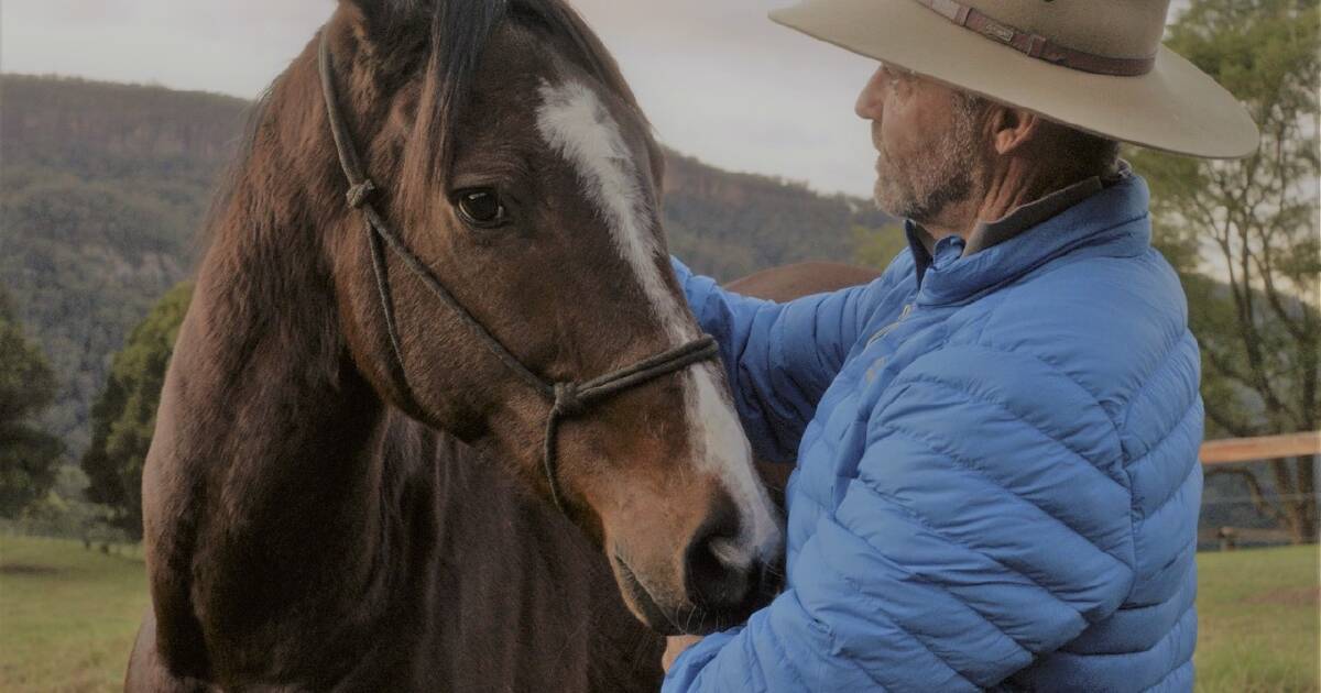 A parallel healing of heroes and horses showcased in Kangaroo Valley documentary