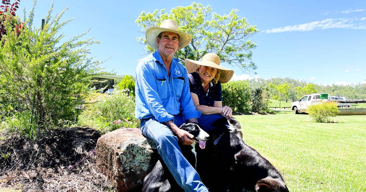 Malcolm and Chick Gadsby run Talgai Santa Gertrudis like it's their own