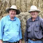 Review of Gulf Water Plan by Glenn Butcher raises concerns | Queensland Country Life