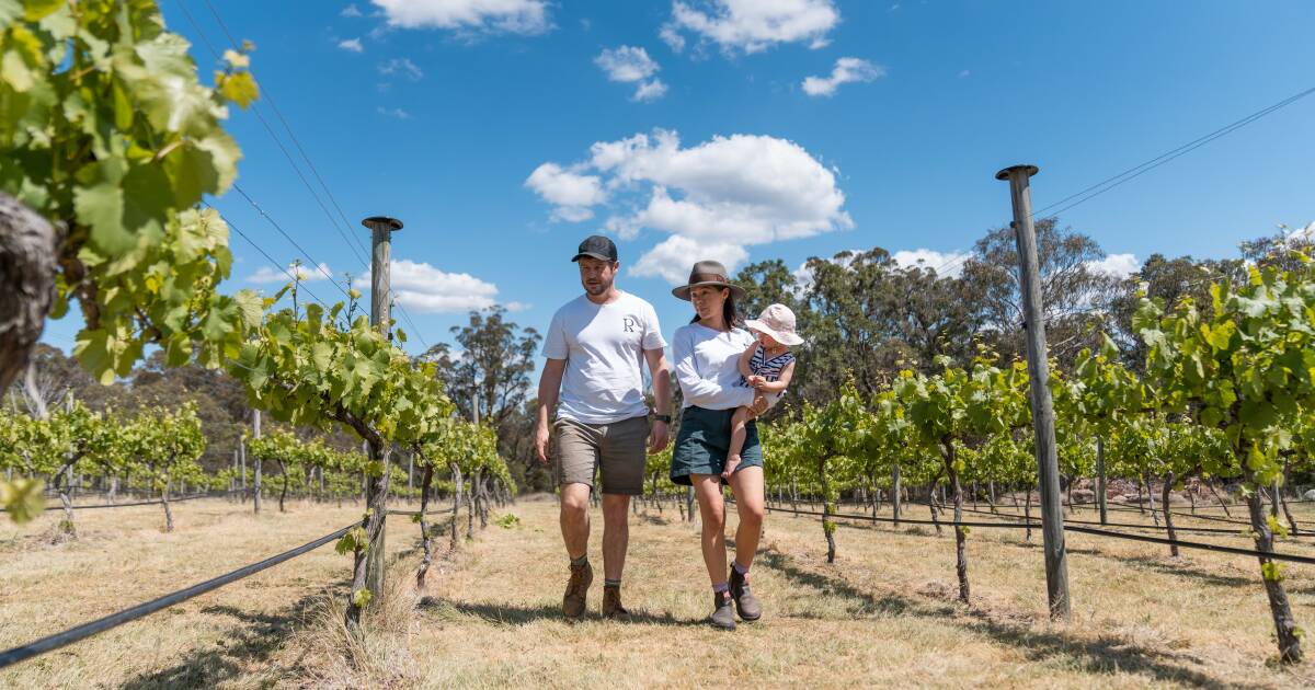 London locals swap city life for Stanthorpe vineyard