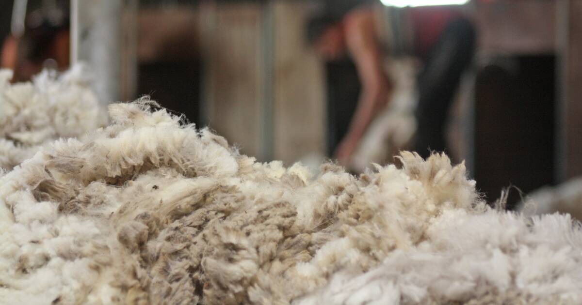 Lift in prices will see more wool offloaded