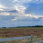 'Never seen it higher': NW town underwater