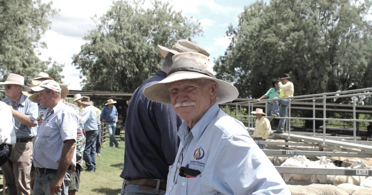 All smiles as Warwick sheep sales return from festive break