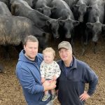 Charolais cross steers make 392c/$1307 at Biggenden