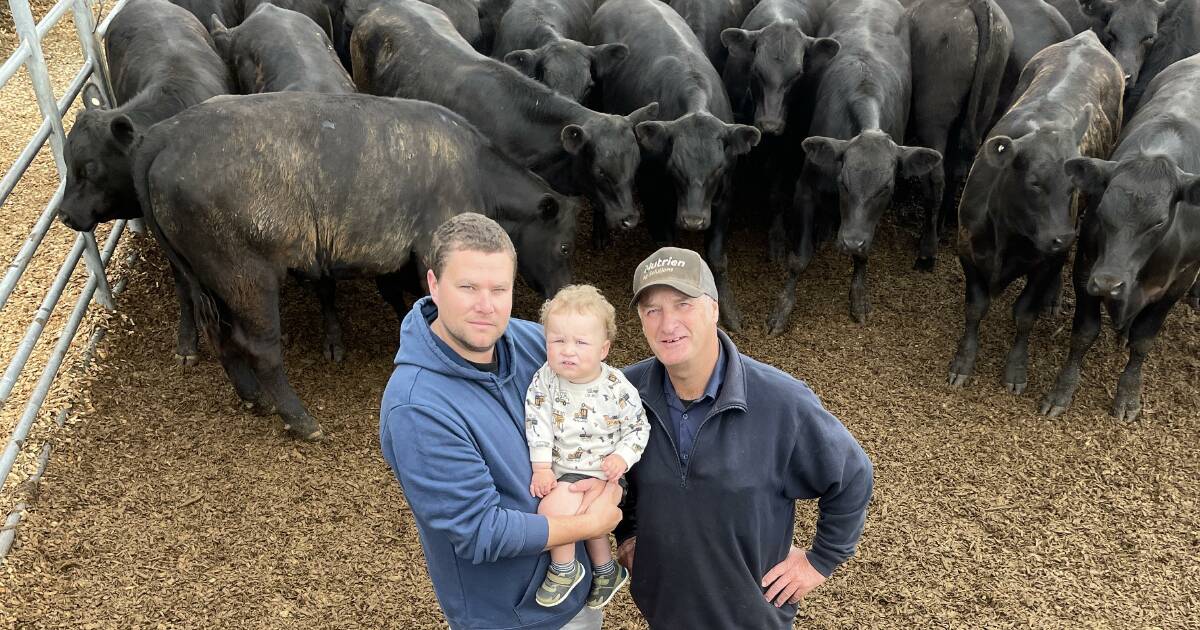 Feedlots, restockers from Vic, NSW and SA descend on first Casterton 2024 weaner sale