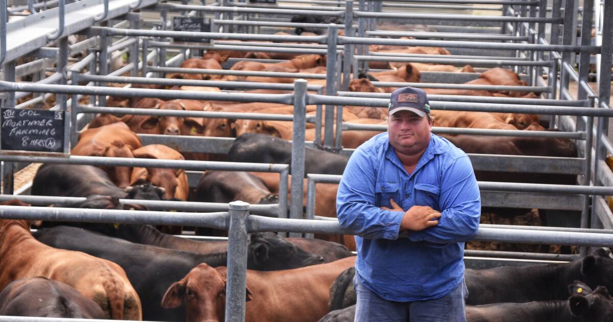 Anakie grazier offloads cattle into improved market conditions at Emerald