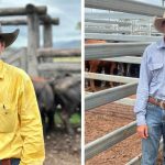 Moree saleyards complex looking for a buyer