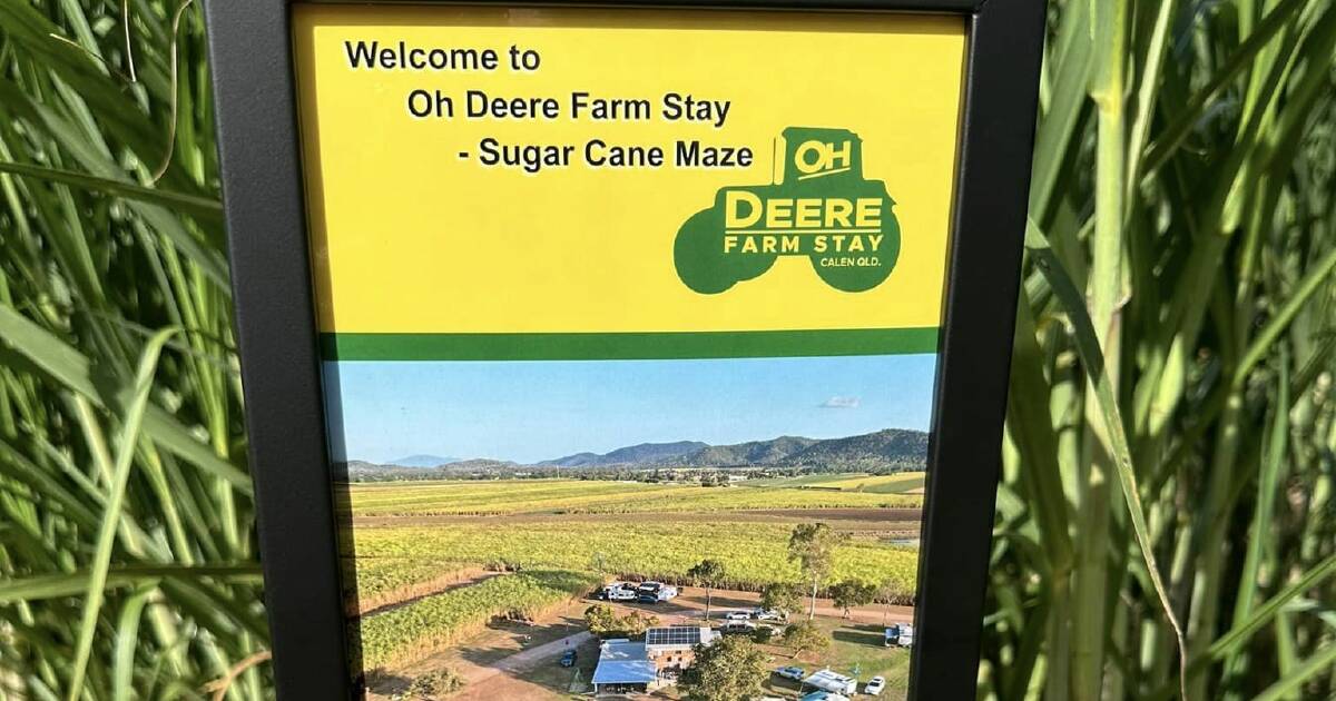 State first sugar cane maze launches in rural Qld