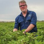 Casino livestock saleyards back in business under new management