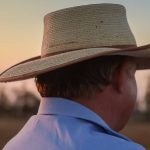 Queensland farmers access $100k relief for construction costs | North Queensland Register