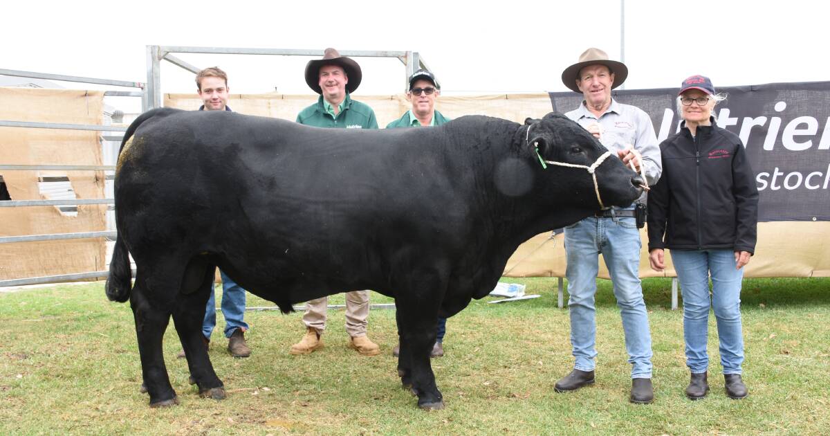 Naracoopa tops Great Southern Blue Ribbon Female and All Breeds | Farm Weekly