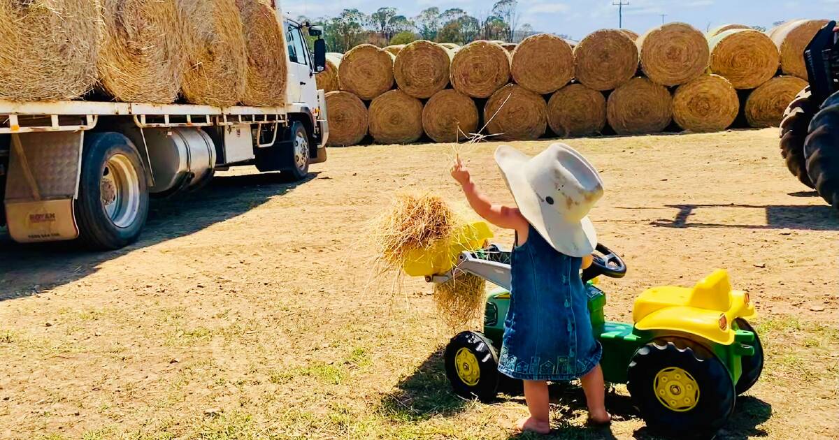 'It's saved them': Hay run delivers relief for fire-affected landholders