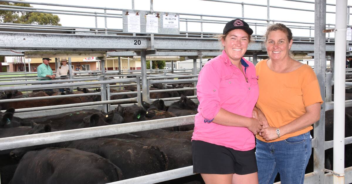 Rebecca and Bianca Blyth make a great beef cattle combination at Manypeaks | Farm Weekly