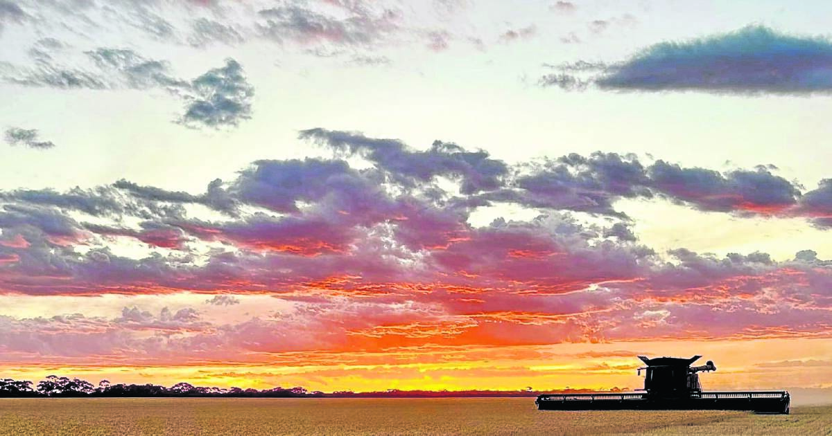 Harvest complete with WA crop total at 14.28mt