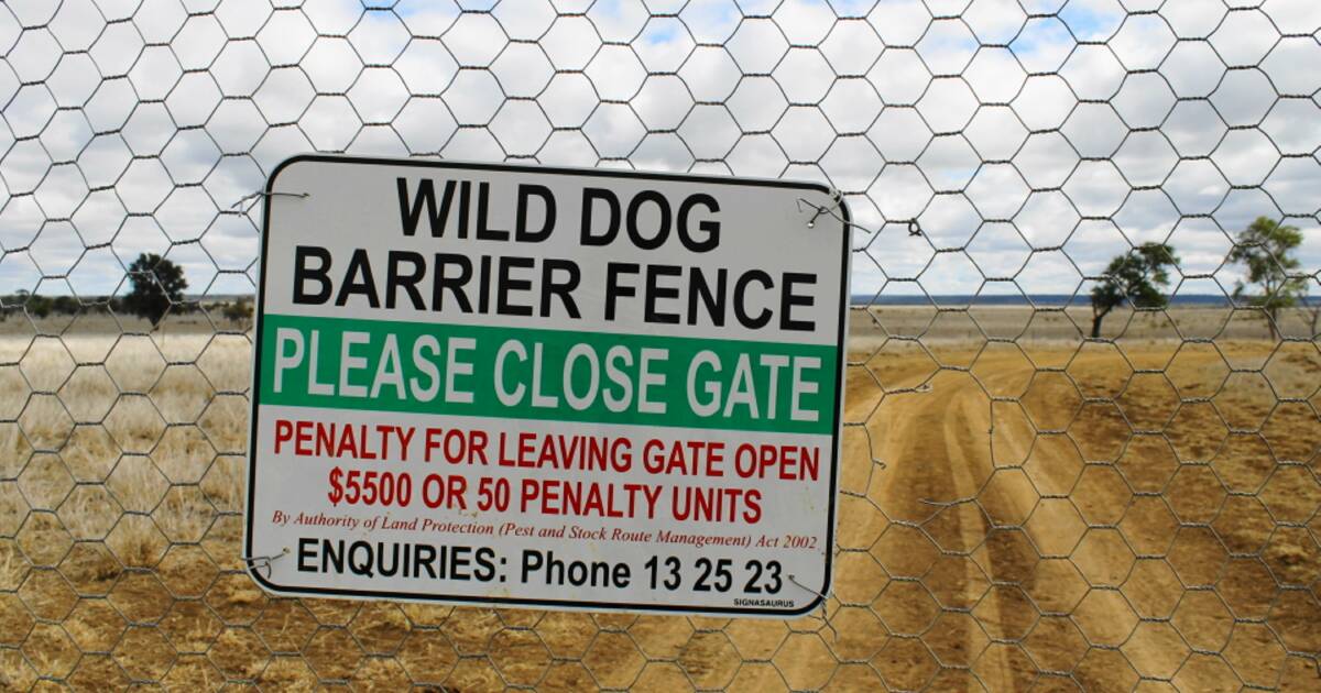 Warrego MP Ann Leahy calls for transparency in Wild Dog Barrier Fence funding | Queensland Country Life