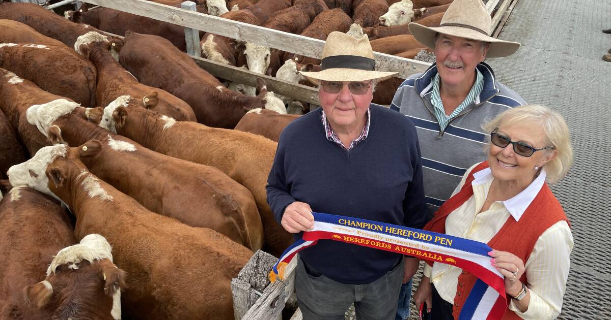 NSW buyer who supplies Coles Graze swoops in to buy 25pc of Casterton's Hereford steers