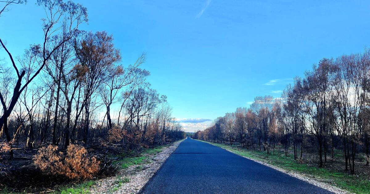 Warrego MP Ann Leahy calls for stronger laws to prepare for bushfires | Queensland Country Life