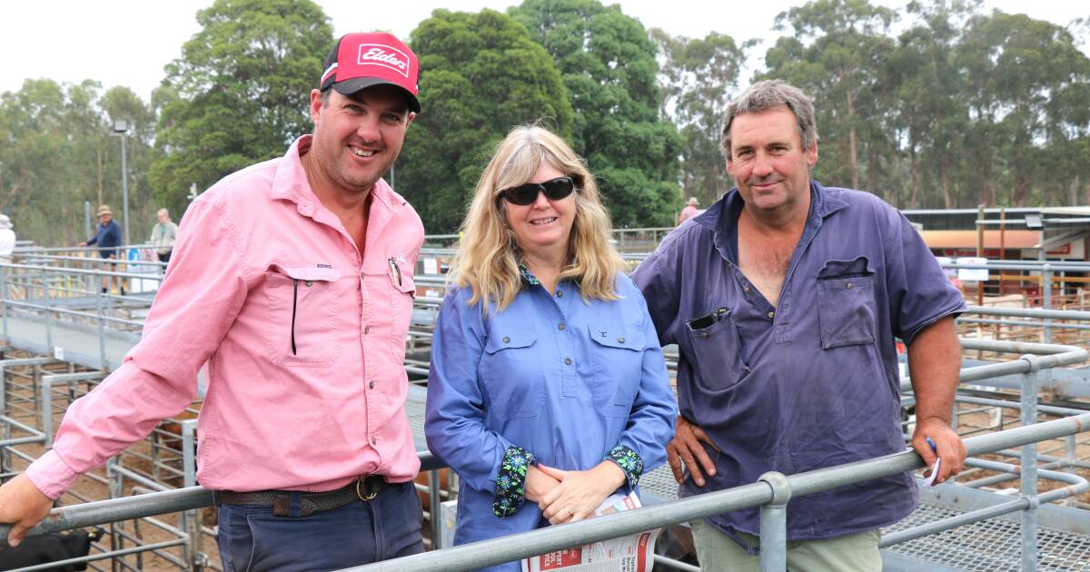 Strong enquiries for heifers at Boyanup store cattle sale