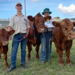 How Big Macs in Japan affect the feeder steer game