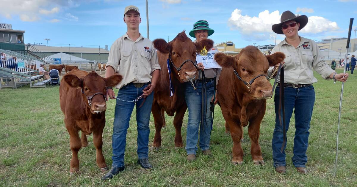 Beef 2024: rising costs could impact final stud cattle entries | Queensland Country Life