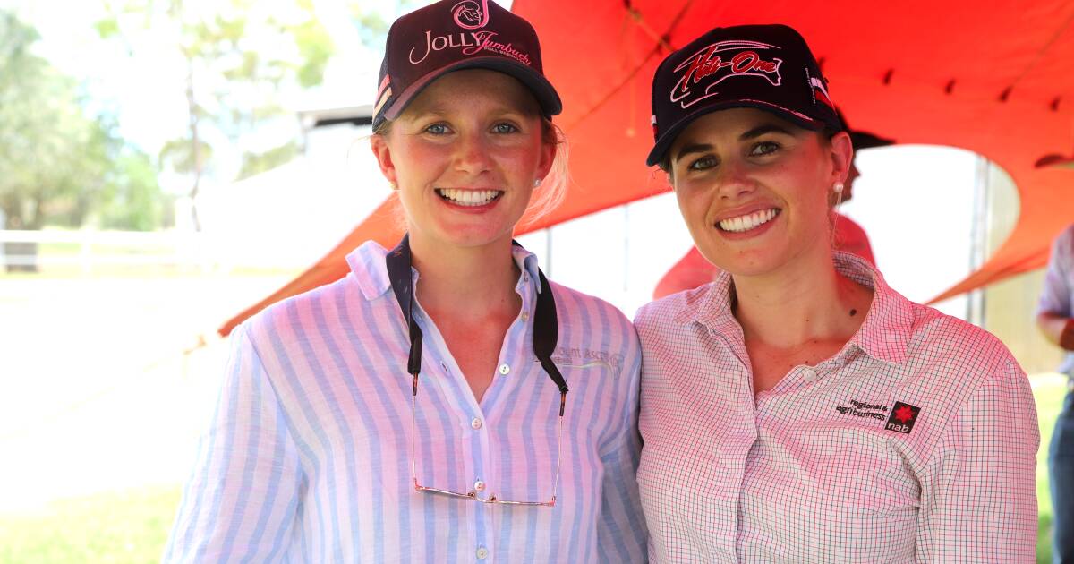 Plenty of support at Mt Ascot and Jolly Jumbuck ram sale | Queensland Country Life