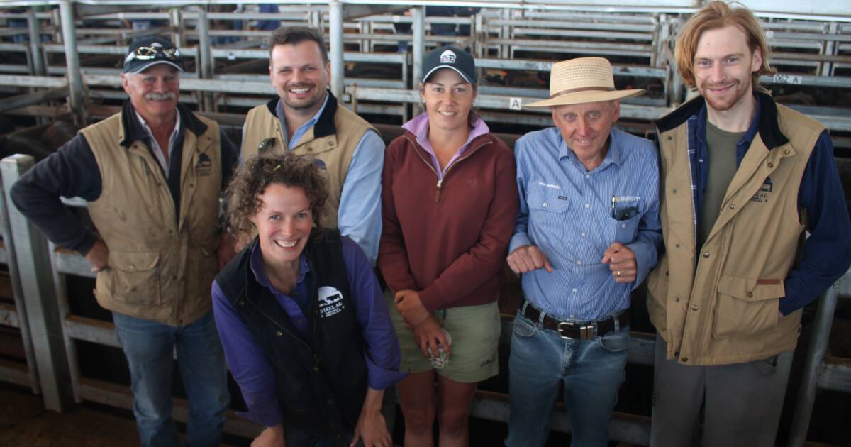 Mortlake weaner sale attracts orders north to Queensland