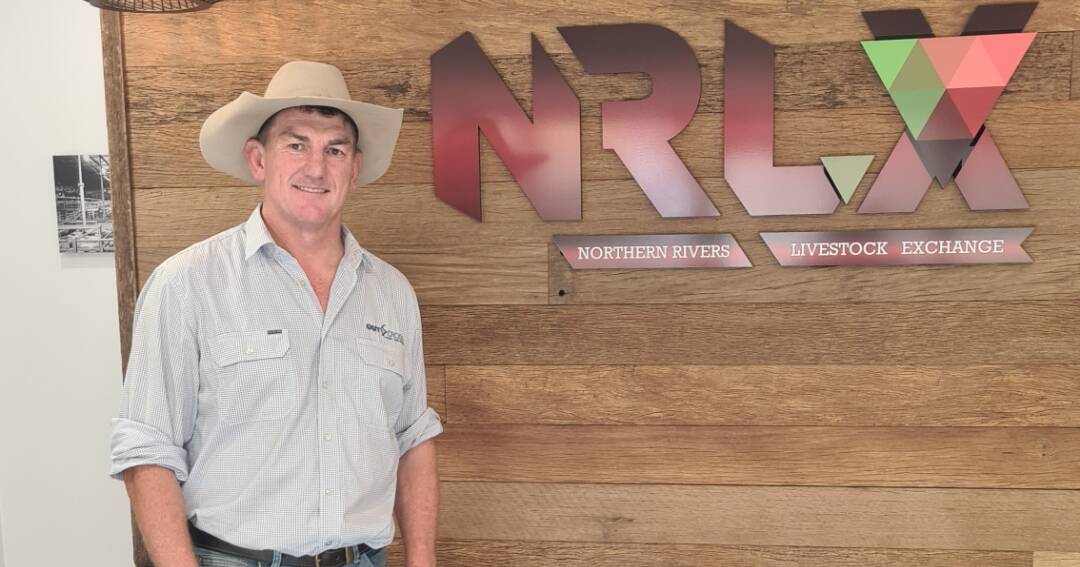 Casino livestock saleyards back in business under new management