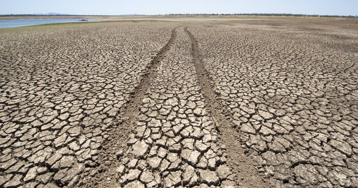 El Nino misforecast: There was precedent it would overshoot Australia | Queensland Country Life