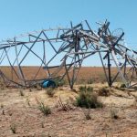 Wagga investigators charge man over alleged Adelong cattle theft | The Land