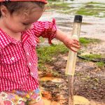 Three-day sickness spreading rapidly in the Hunter and Mid North Coast