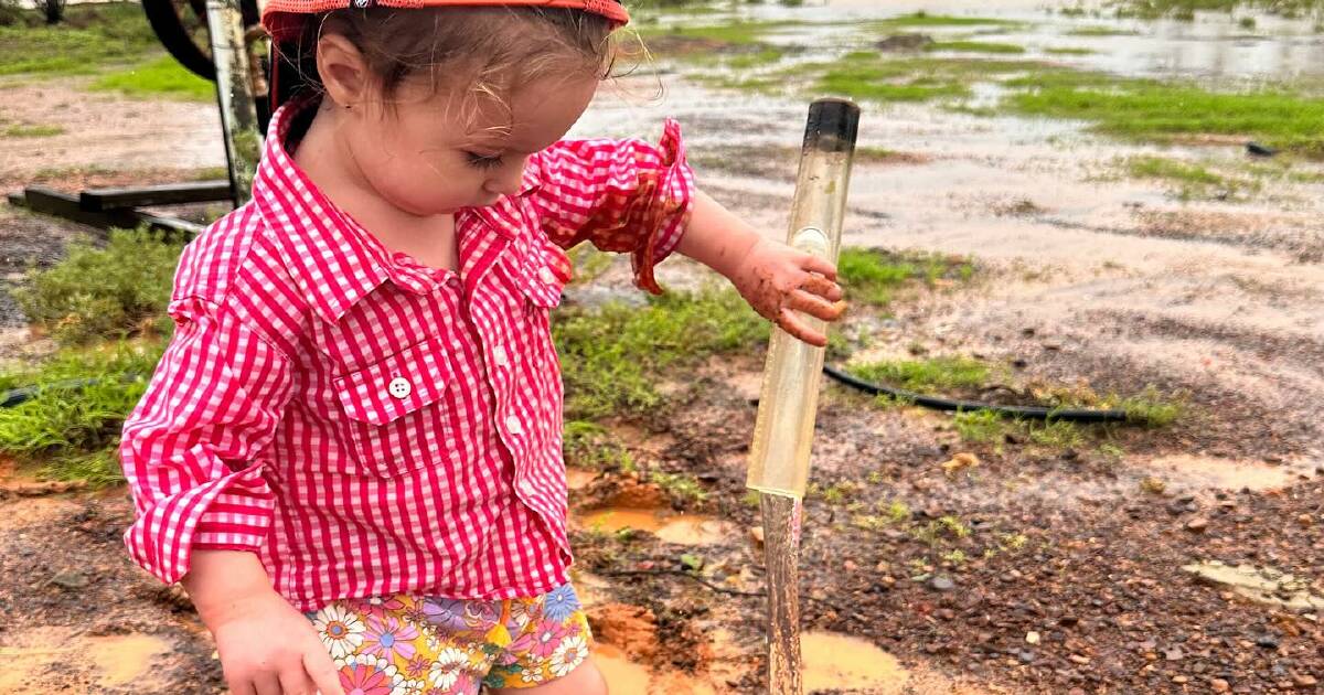 McKinlay graziers face 'biggest flood on record'