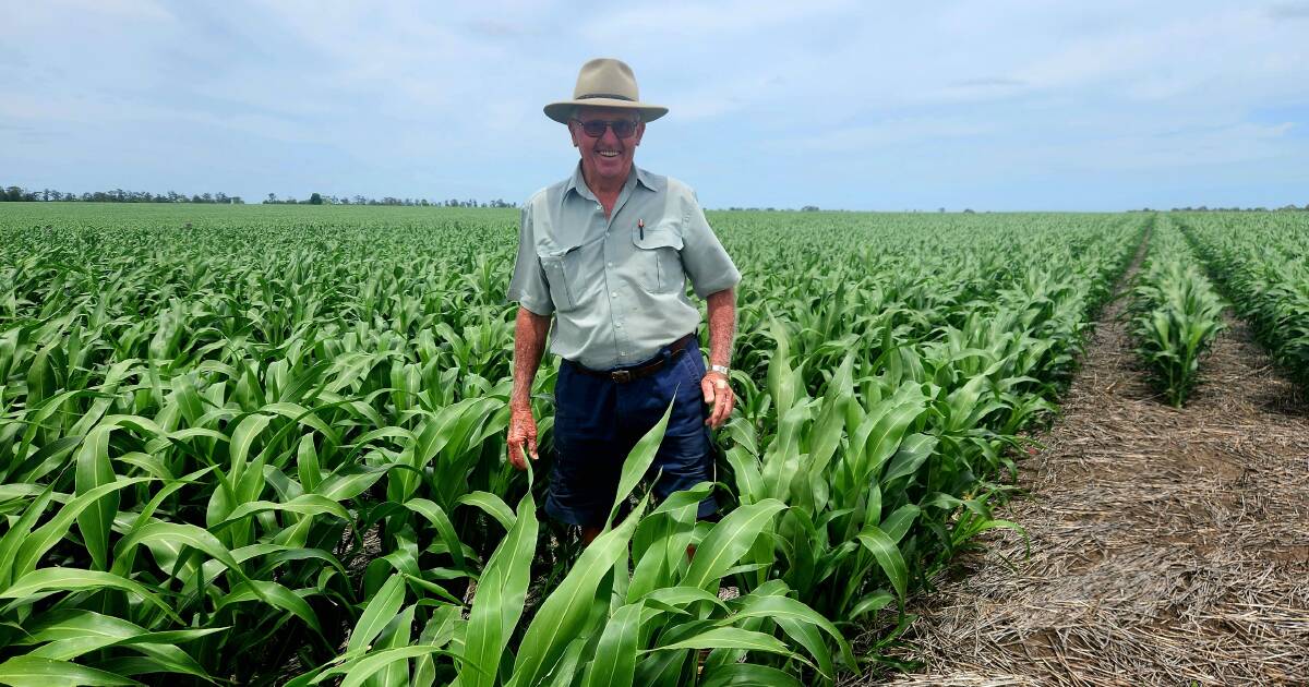 Resolute is the Hartmann family's farming motto at Dalby