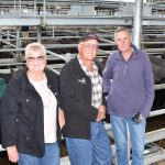 Inside the operation to muster 12,500 goats | The Land