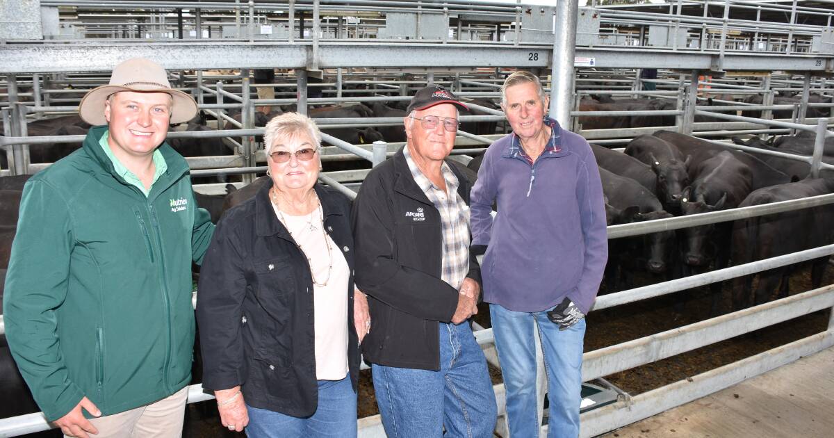 PTIC Angus and Angus cross heifers top $2850 at Mt Barker sale. | Farm Weekly